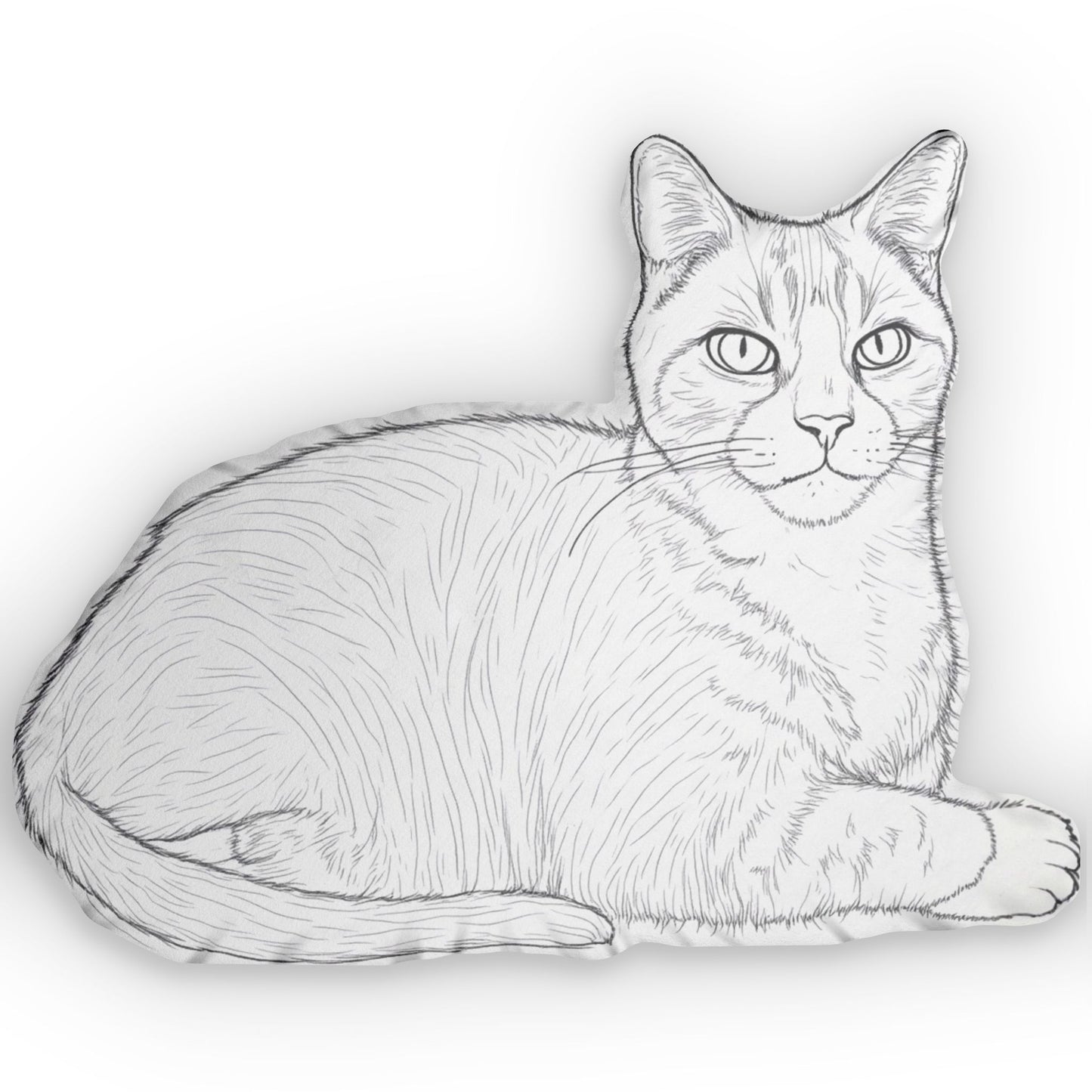 Custom Cat Pillow - Modern