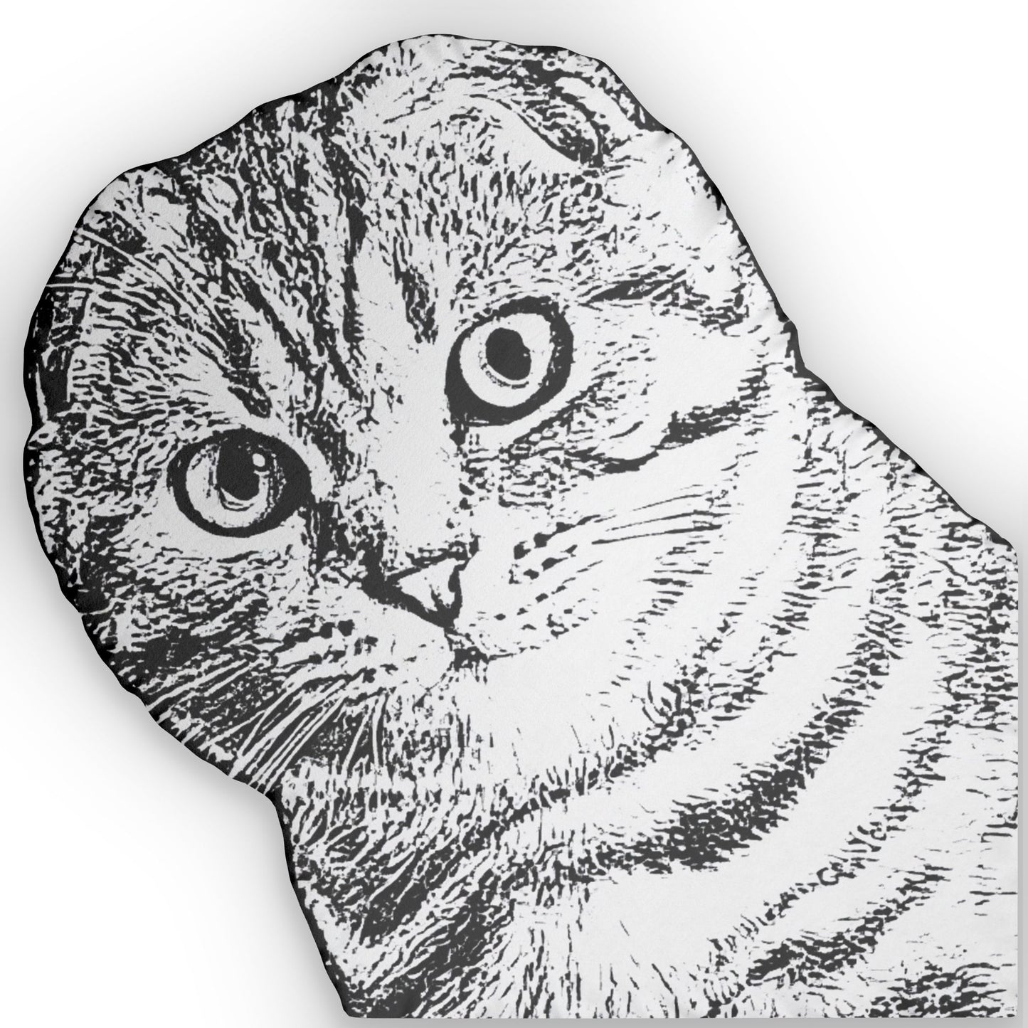 Custom Cat Pillow - Modern
