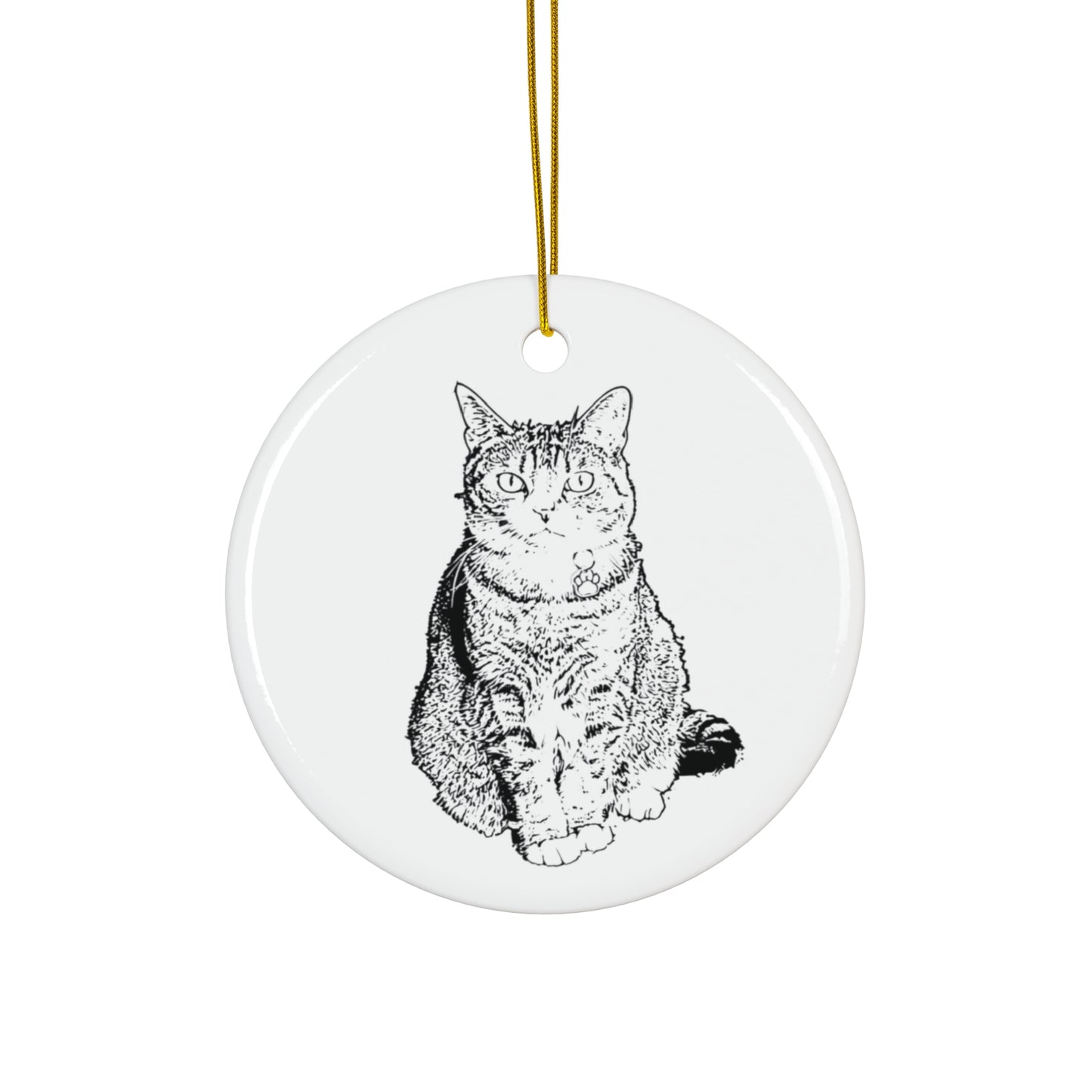 Custom Circle Ornament - Modern Cat