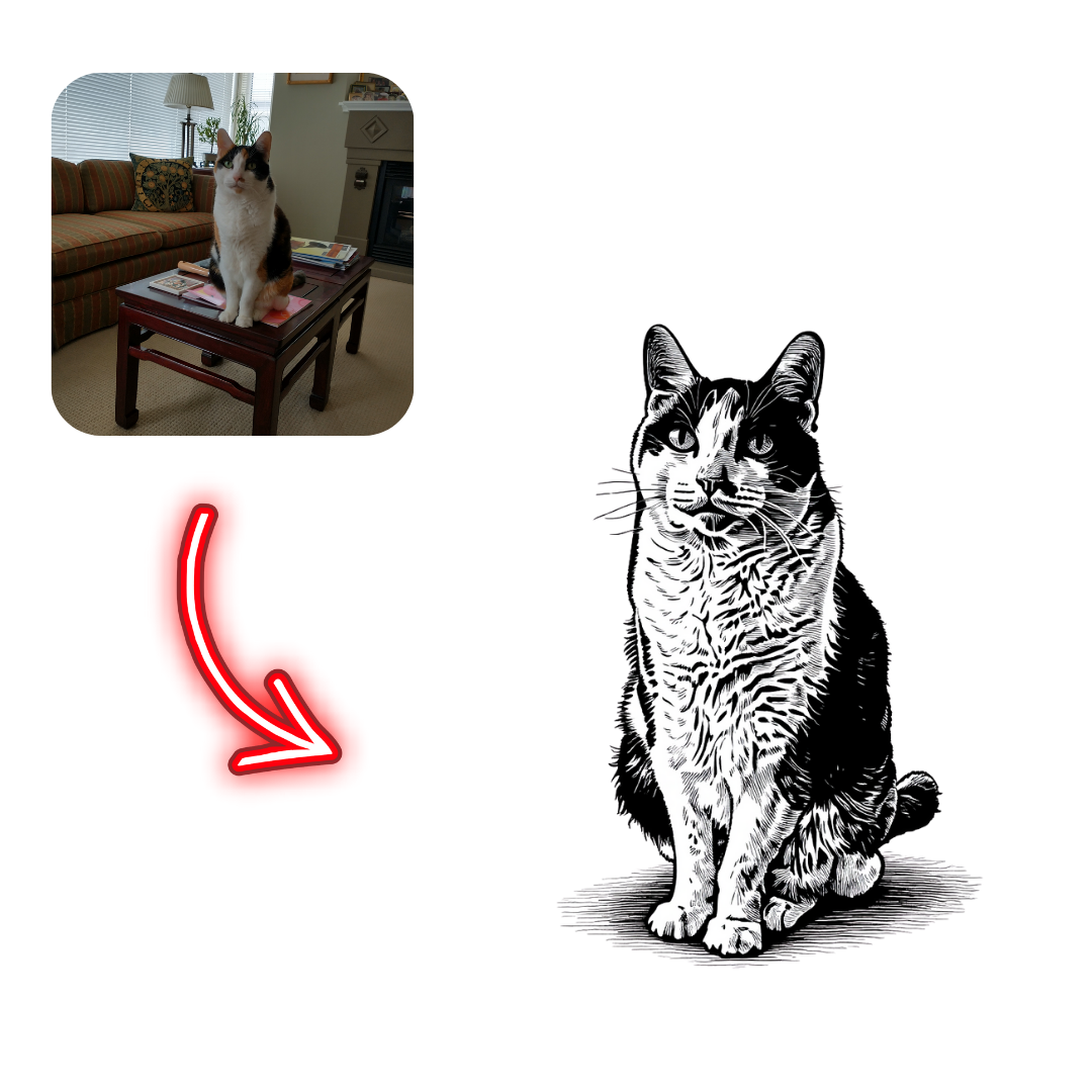 Real-life cat on a couch with an inset of a black and white line drawing of a cat.