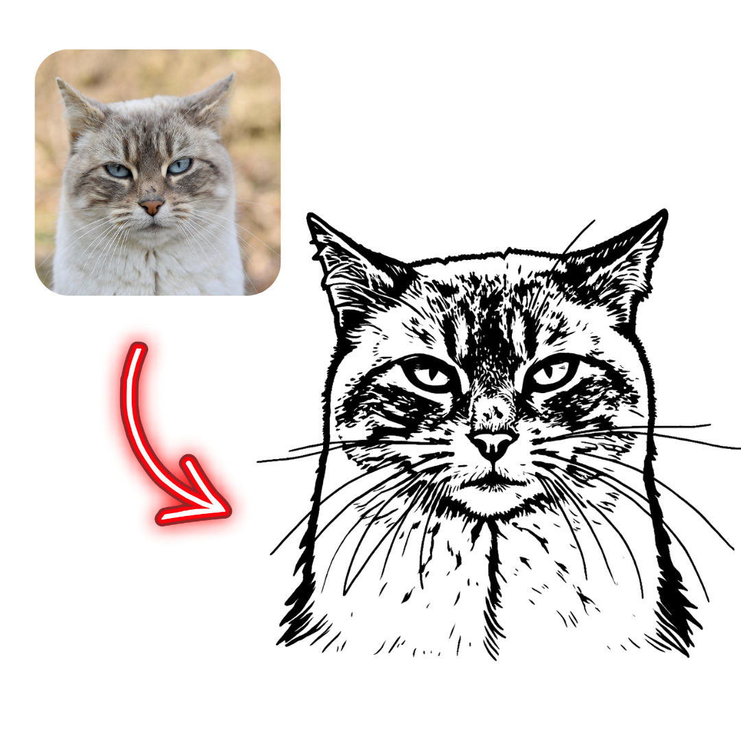 Realistic cat photo on the left with a black and white line drawing of a cat on the right, separated by a red arrow.