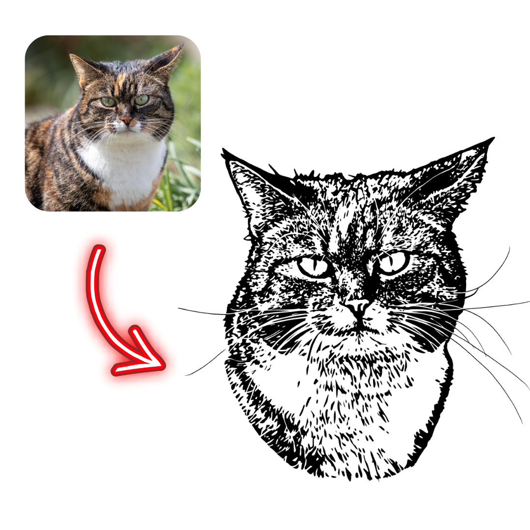 Realistic cat photo on the left with a stylized black and white cat illustration on the right, separated by a red arrow.