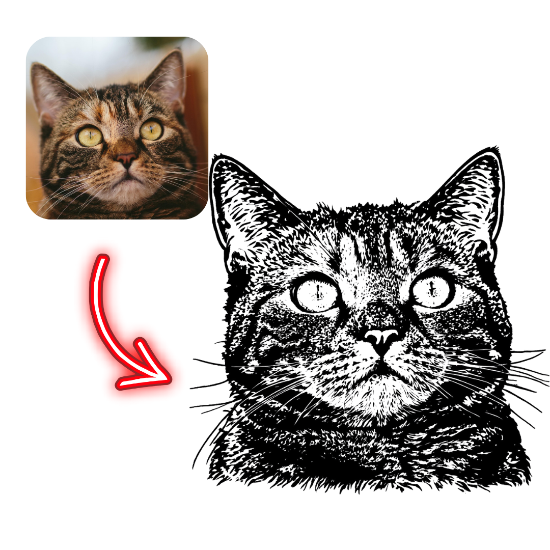 Black and white illustration of a cat with a photo of a cat on the left side.