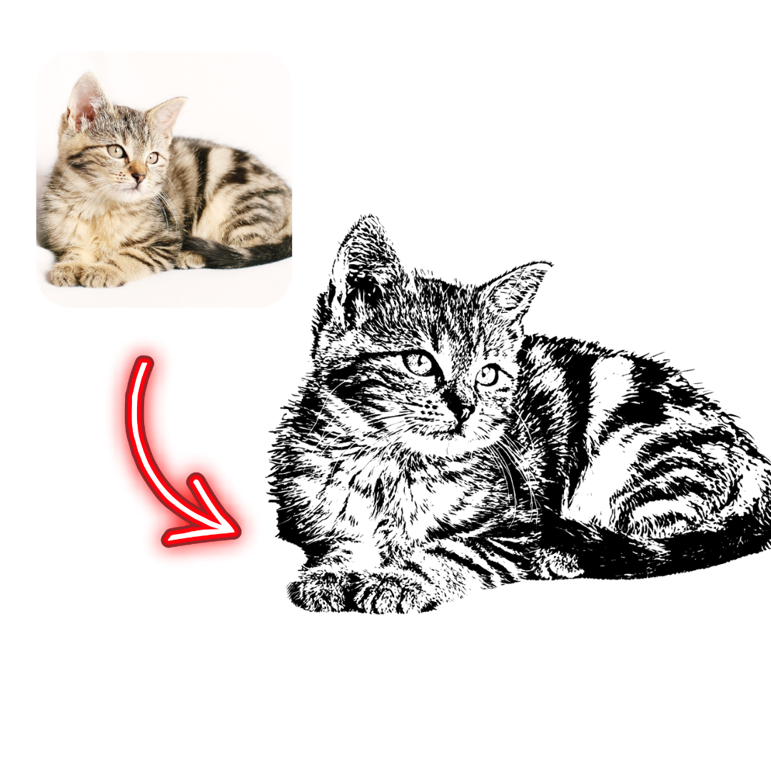 Realistic cat on the left with a black and white line drawing of a cat on the right, separated by a red arrow.