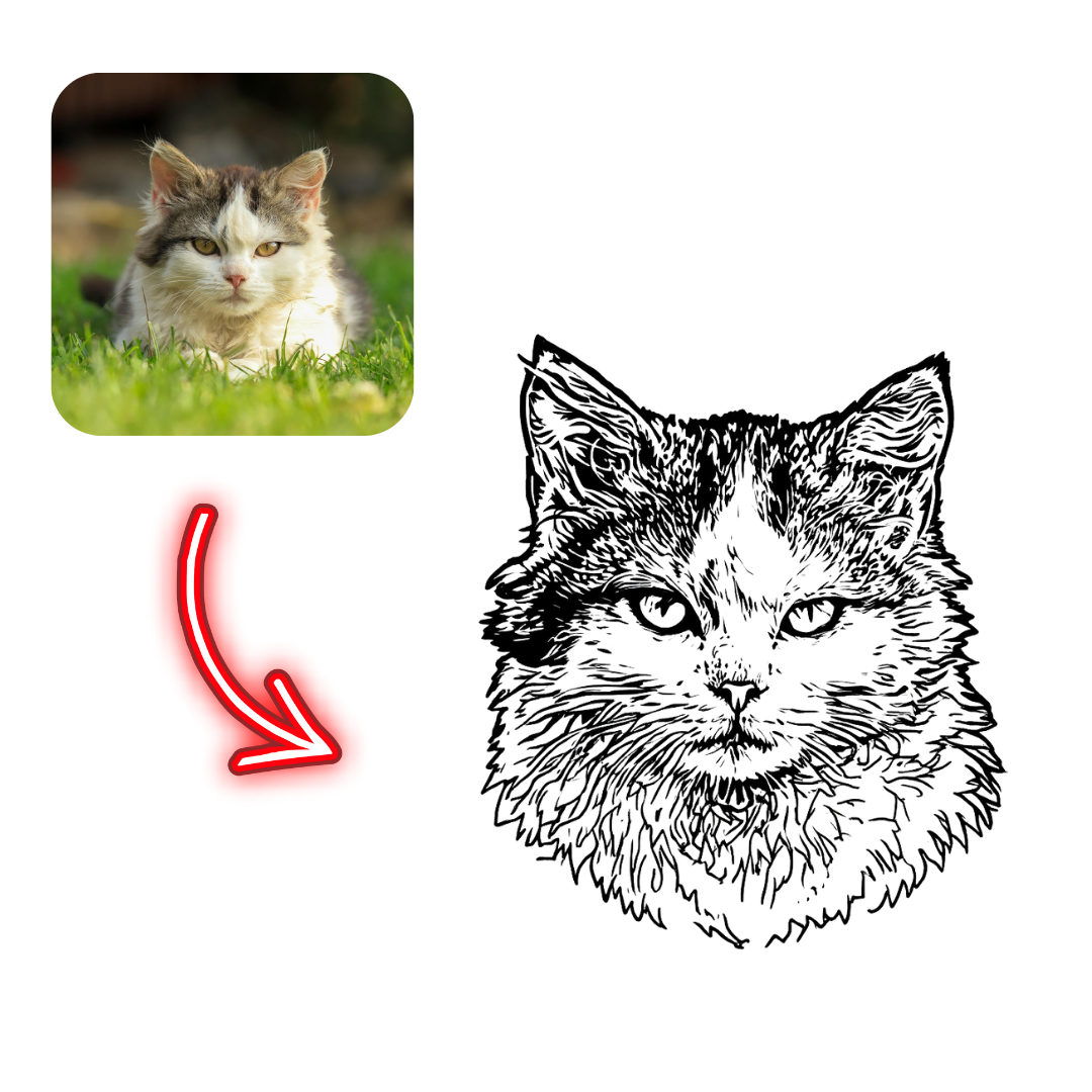 Realistic cat photo on the left with a black and white line drawing of a cat on the right, connected by a red arrow.