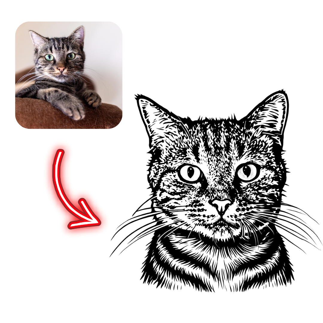 Black and white line drawing of a cat with a photo of a cat on the left.
