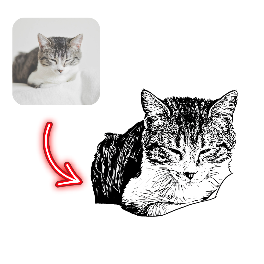 Illustration of a cat with a black and white pattern, next to a photo of a real cat.