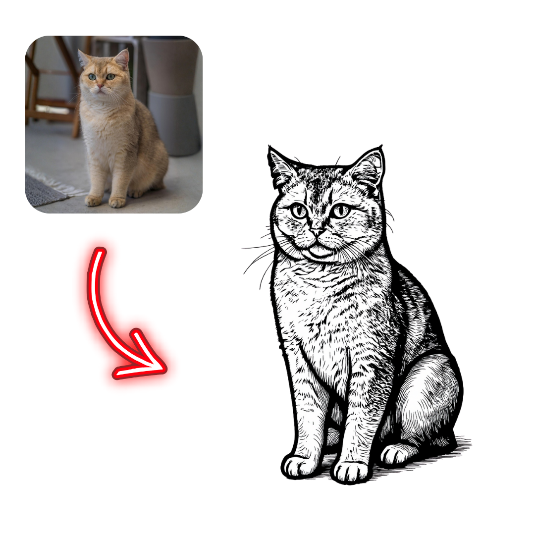 Realistic cat photo on the left with a black and white line drawing of a cat on the right, connected by a red arrow.