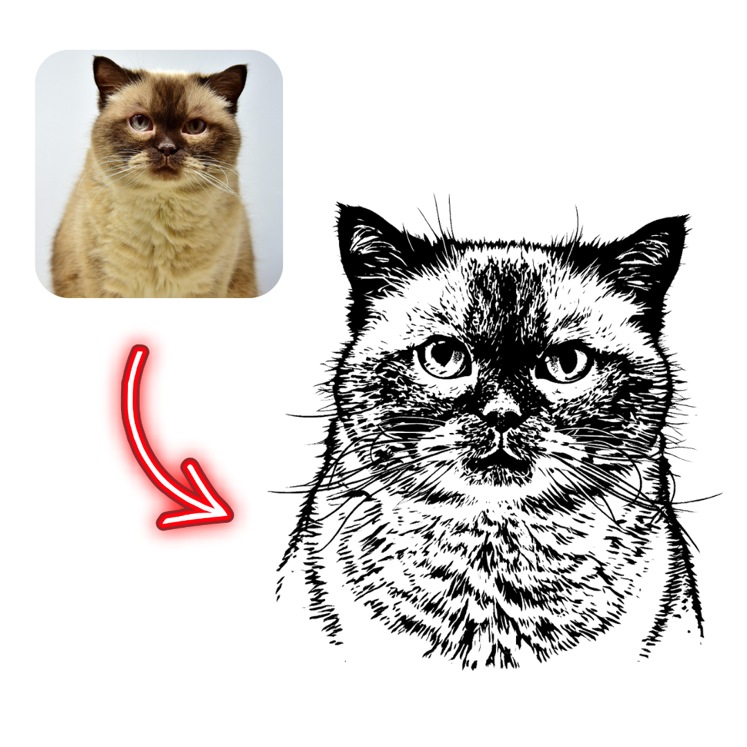 Comparison of a cat's photo and its black and white line drawing with a red arrow pointing from the photo to the drawing.