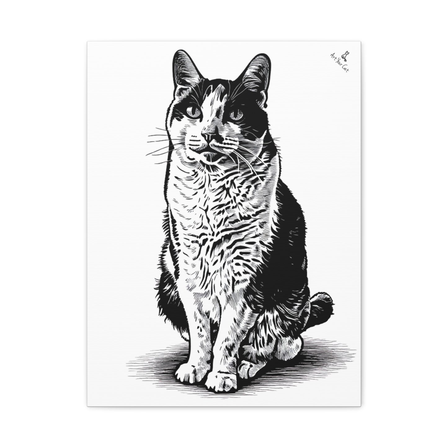 Black and white illustration of a cat on a white background