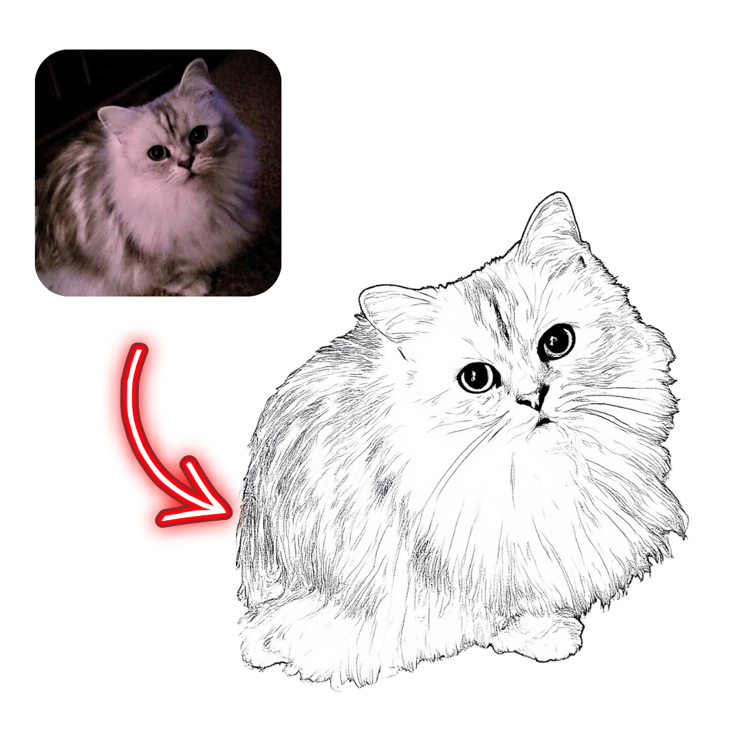 Illustration of a fluffy cat with a photo of a real cat on the left.