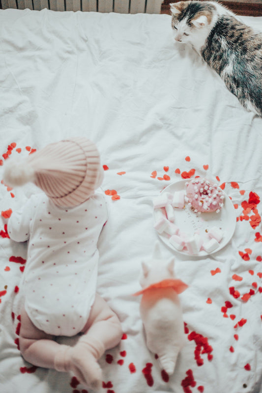 Baby and cat on blanket