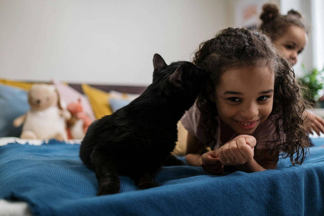 A curious cat snuggling with its owner, showcasing affection and attachment.