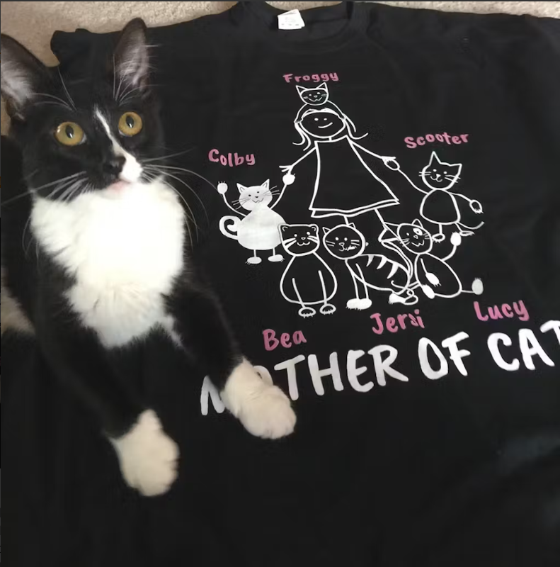 cat on top of a t-shirt 