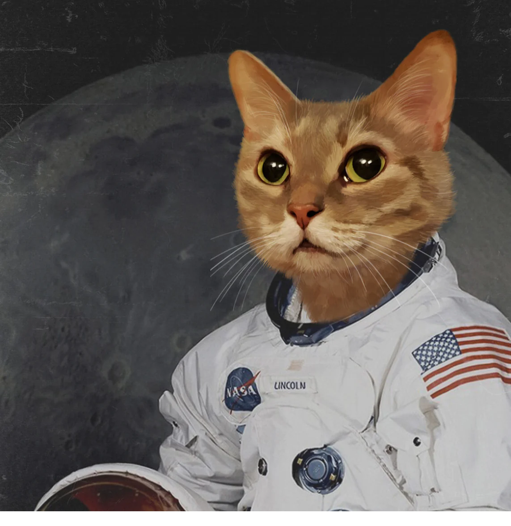 Portrait of a cat in an astronaut uniform.