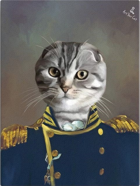 Portrait of a cat in an colonel uniform.