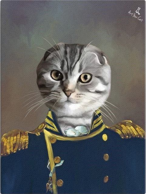 Portrait of a cat in an colonel uniform.