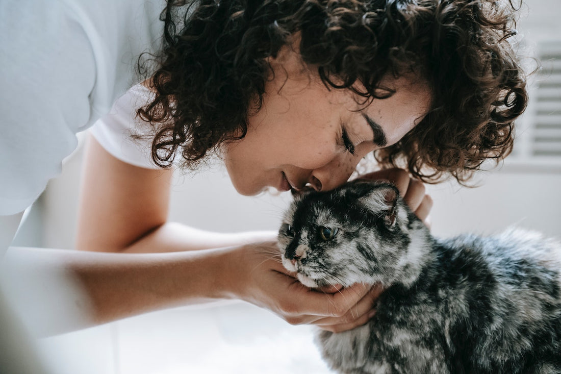 Girl booping nose against cat's head