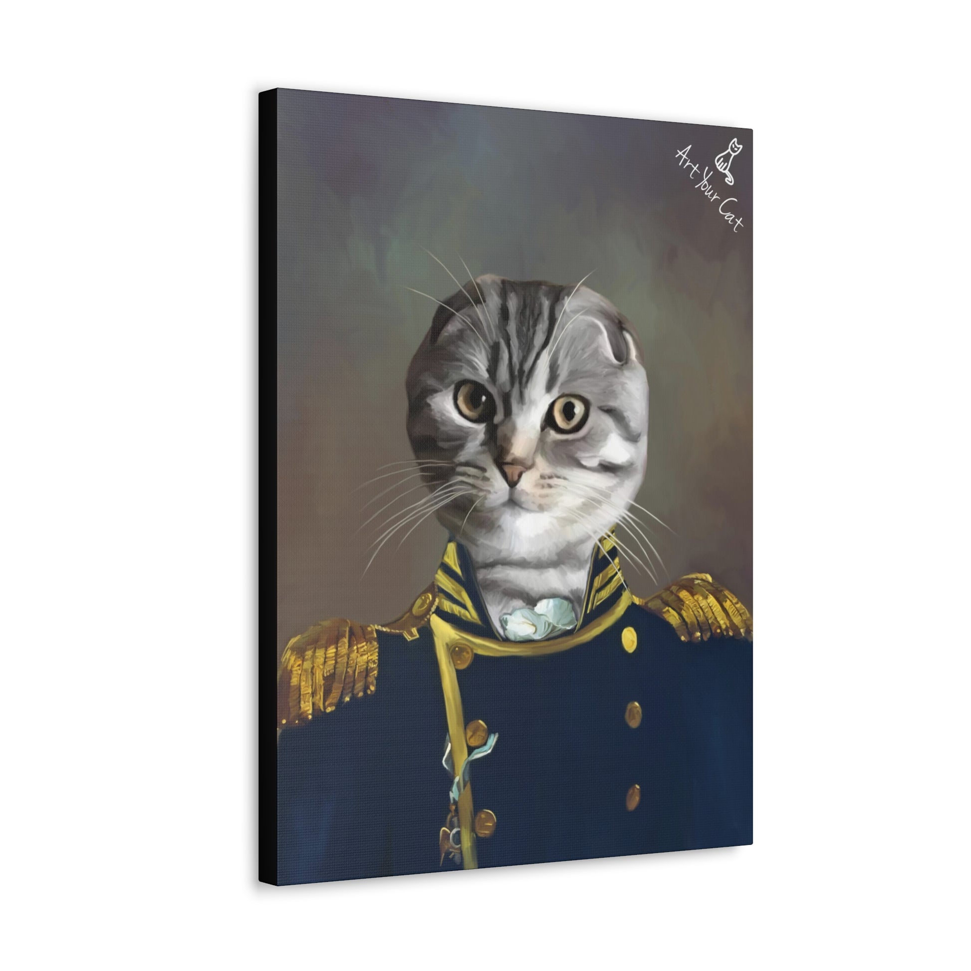 Brave Feline Colonel Portrait for Home Decor