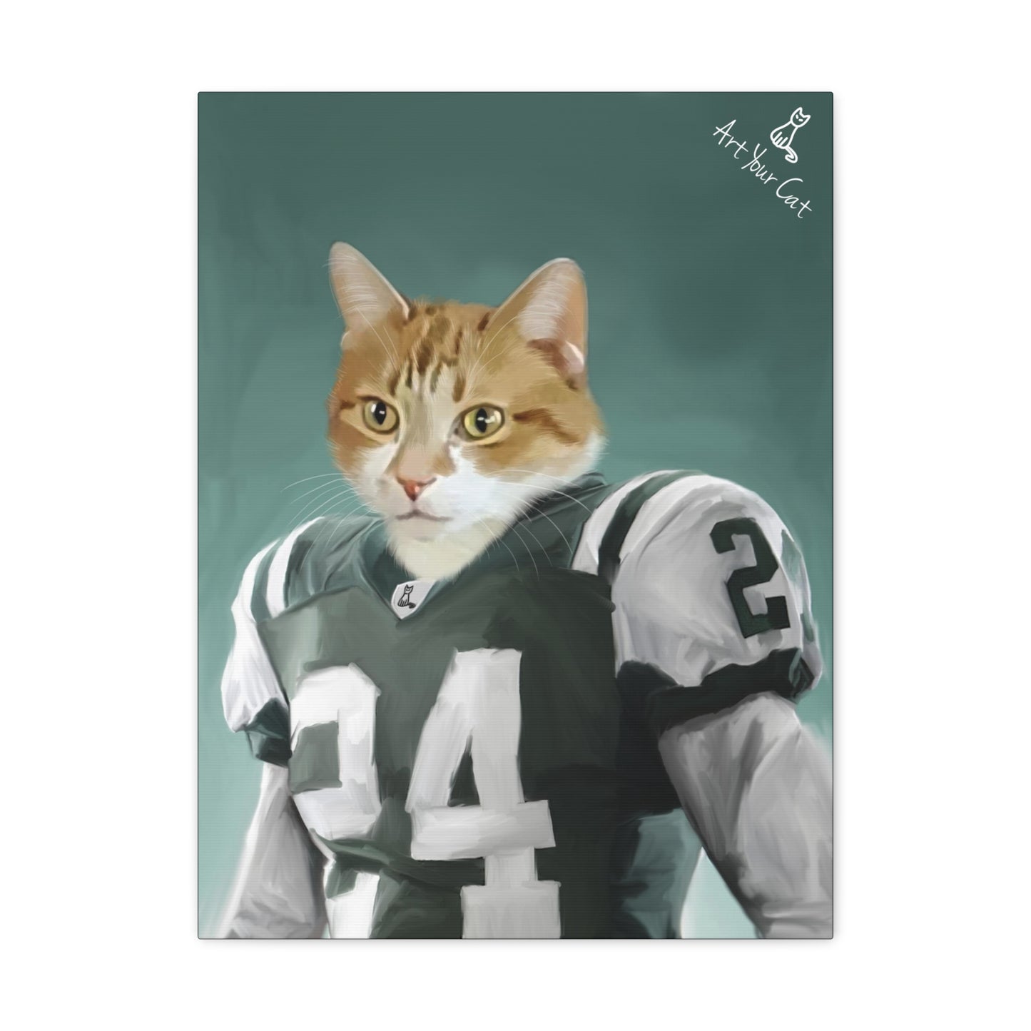 Cat in Football Player Costume