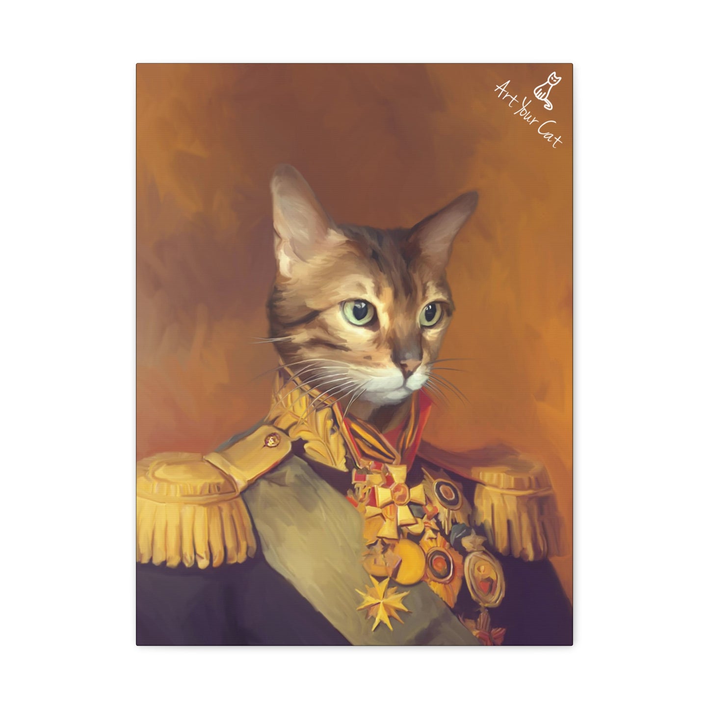 Custom Brave Captain-Themed Cat Artwork