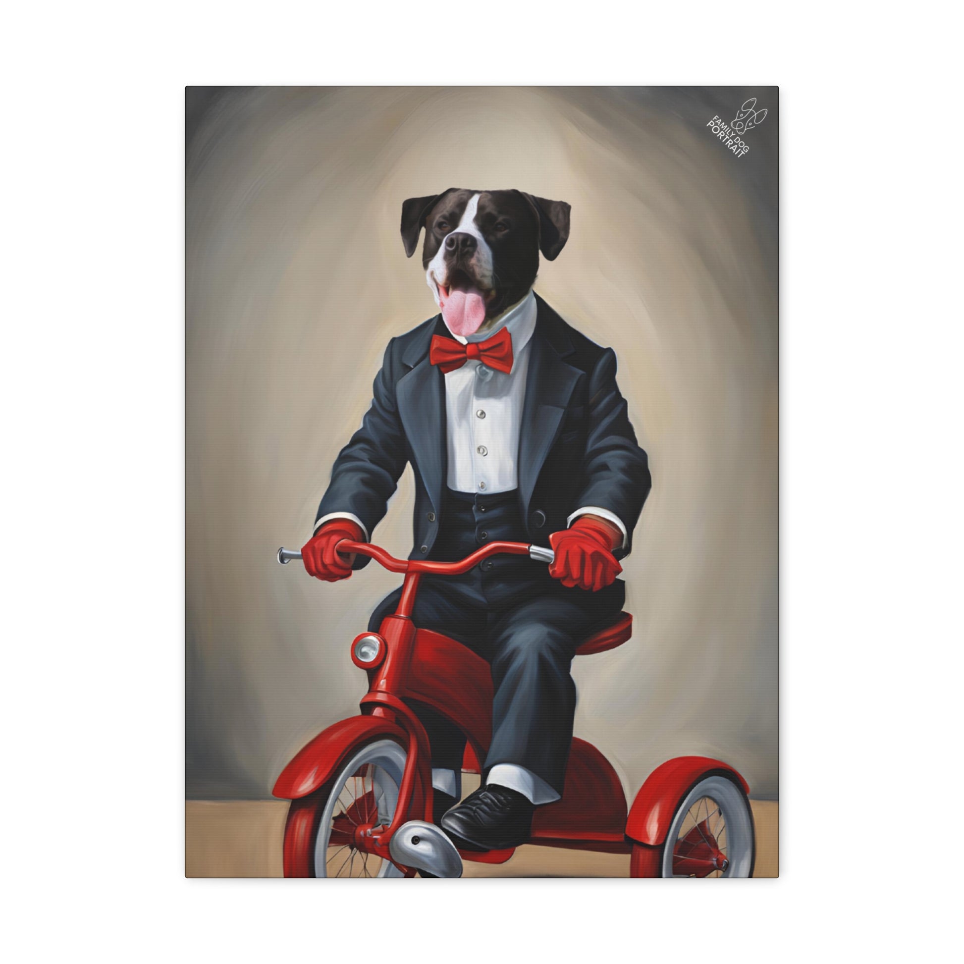 Dog in a suit riding a red tricycle with a bow tie on a beige background