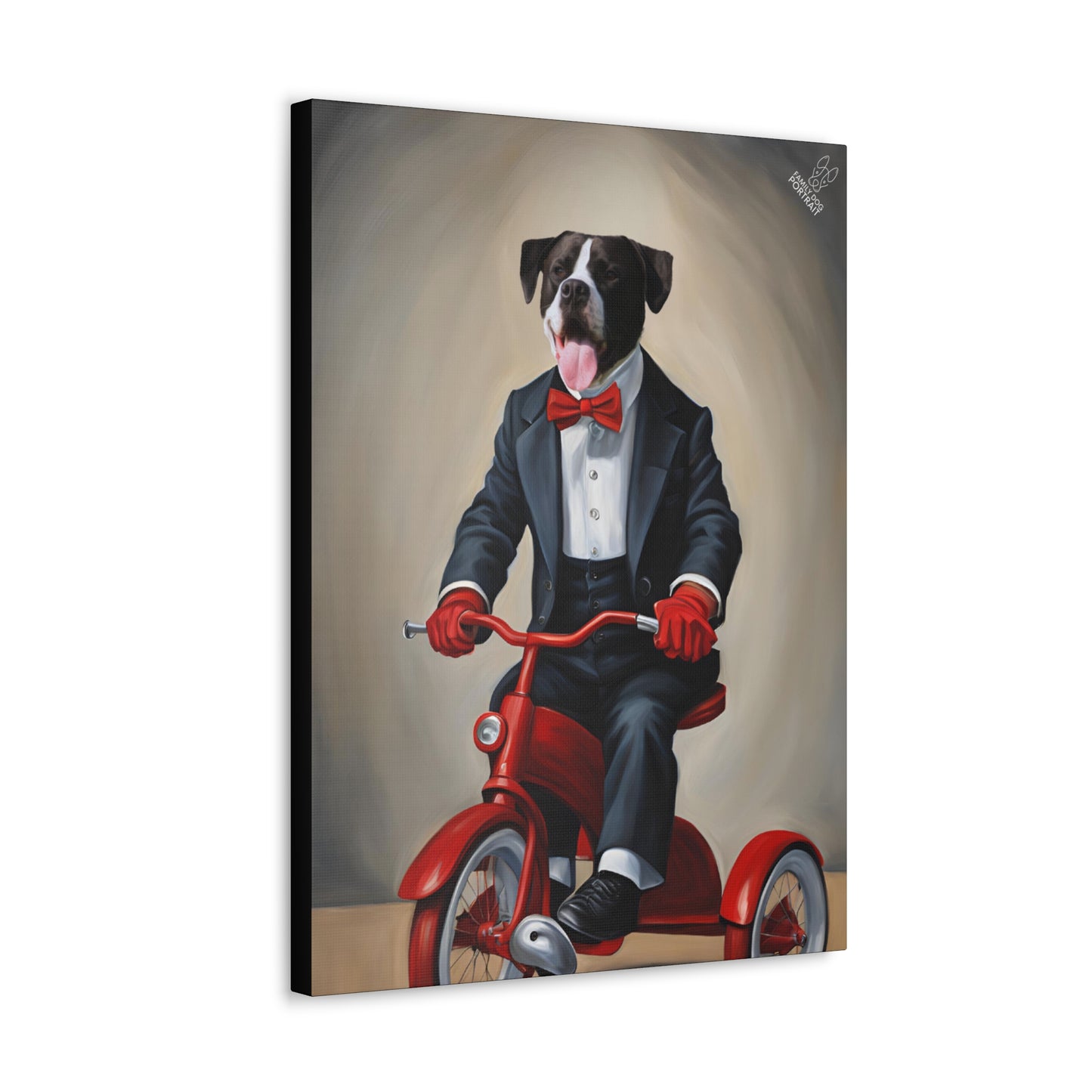 Canvas print of a dog in a suit riding a red tricycle on a beige background