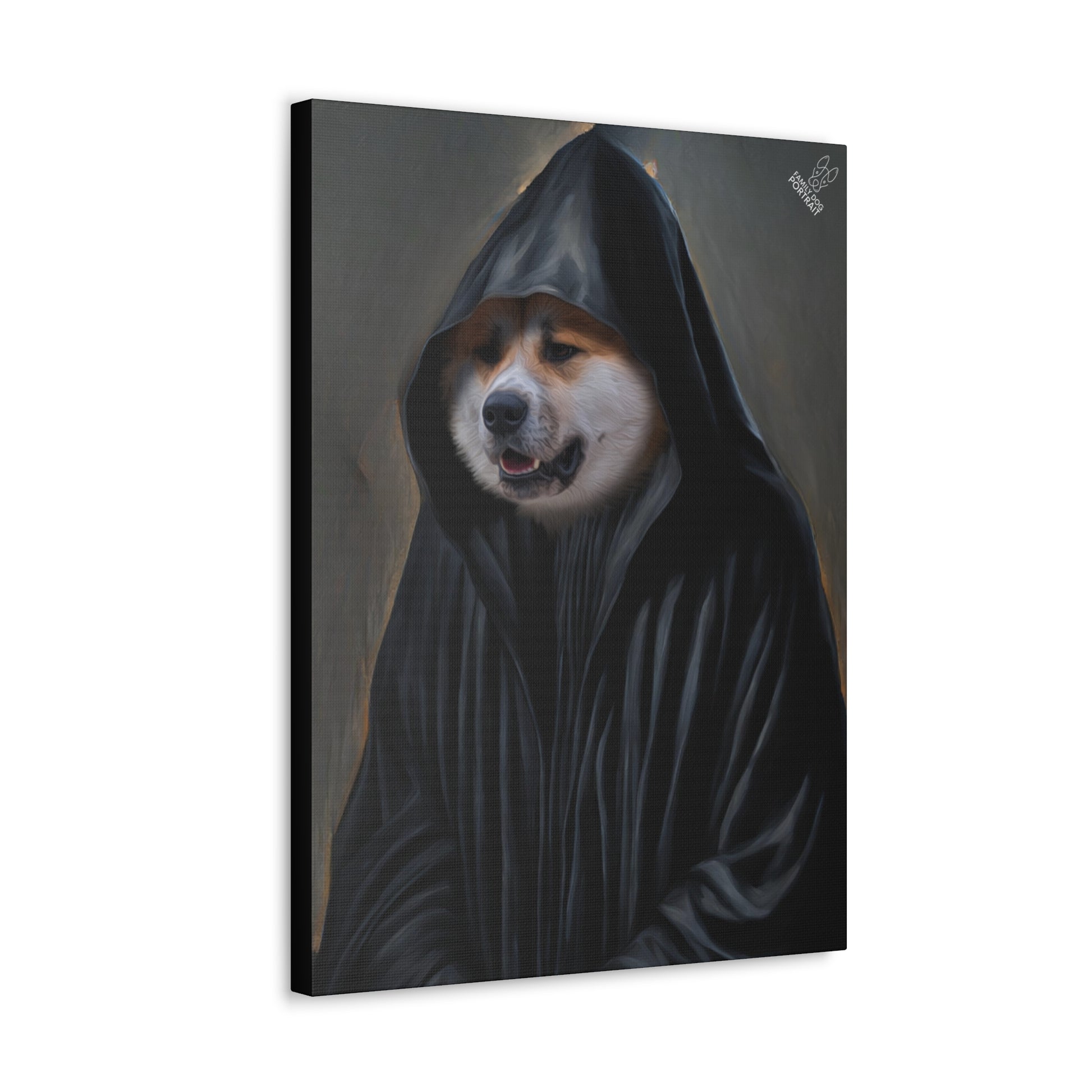 Dog in a black hooded cloak on a dark background
