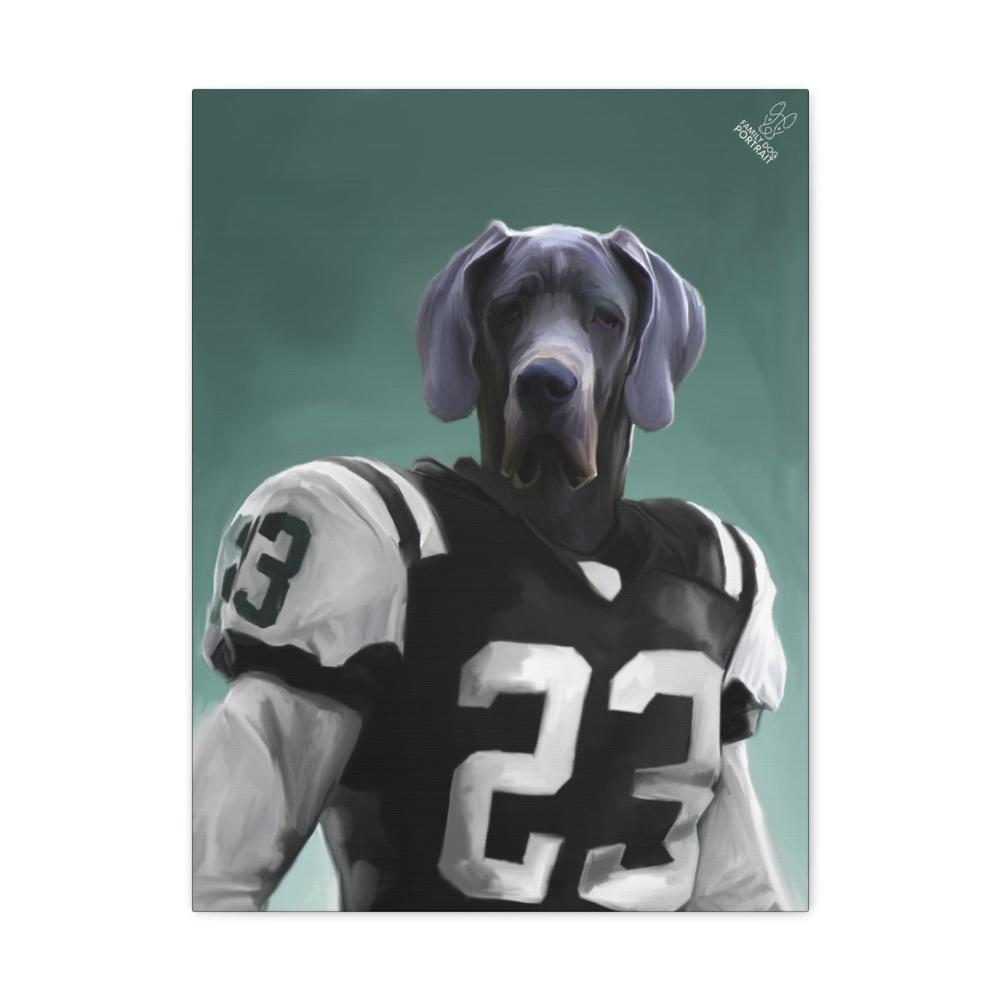 Dog in a sports jersey with number 23 on a teal background