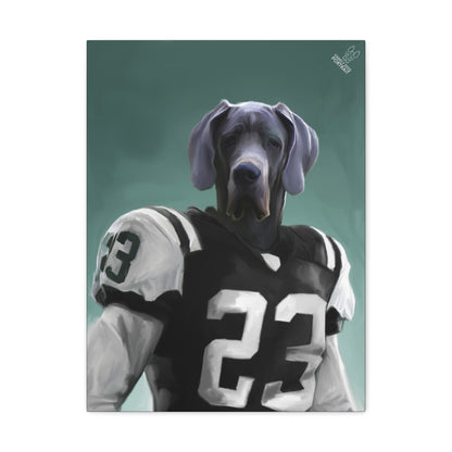 Dog in a sports jersey with number 23 on a teal background