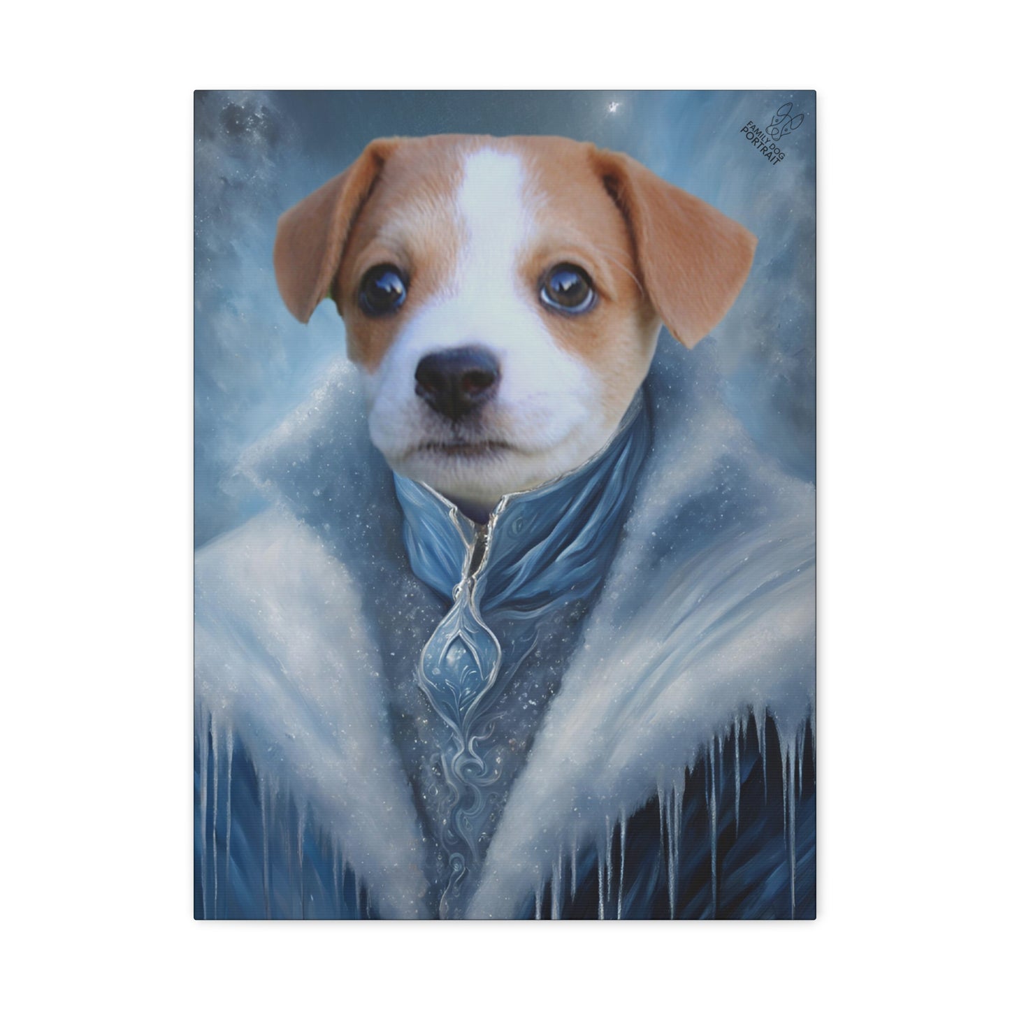 Dog in a fantasy coat with a snowy background
