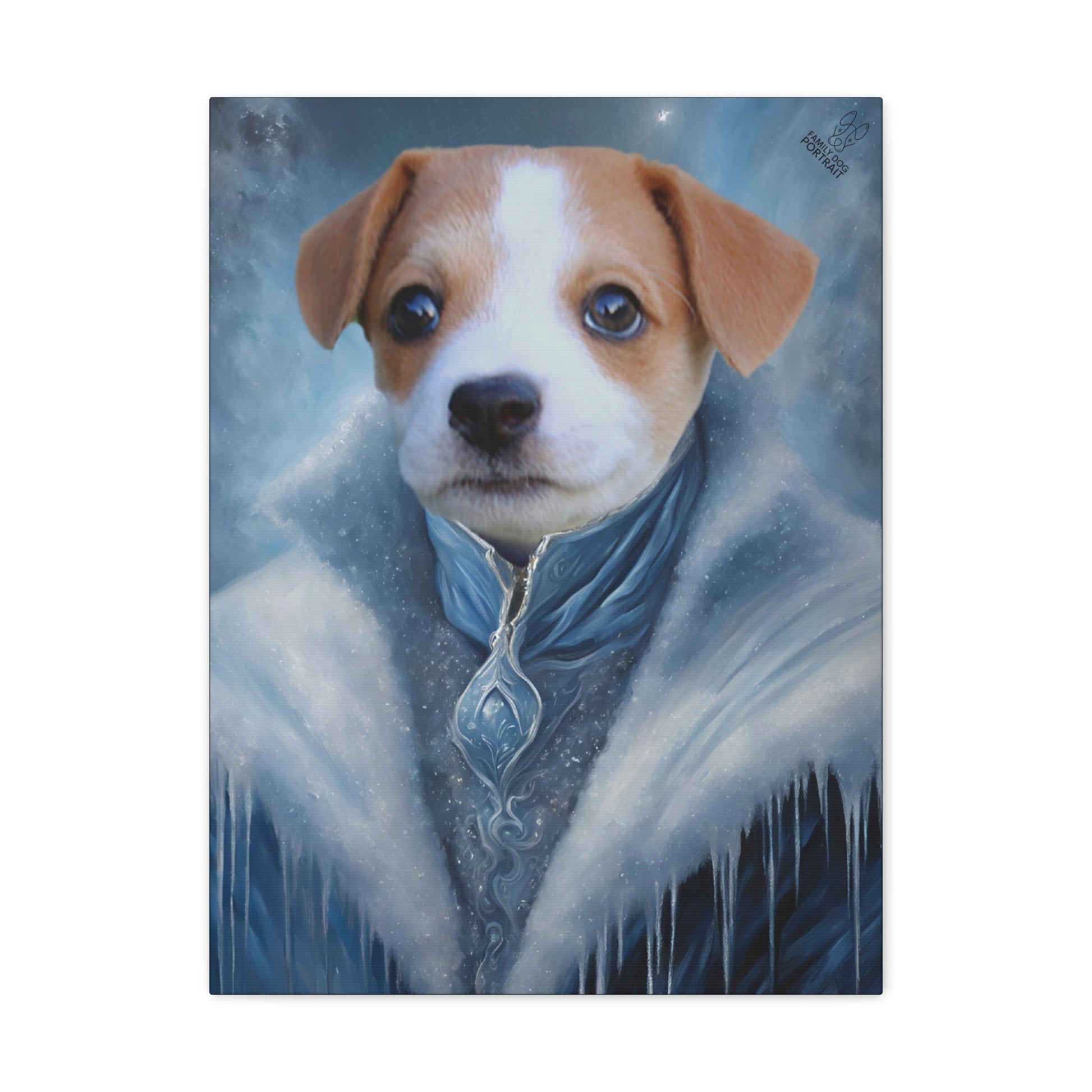 Dog in a fantasy coat with a snowy background