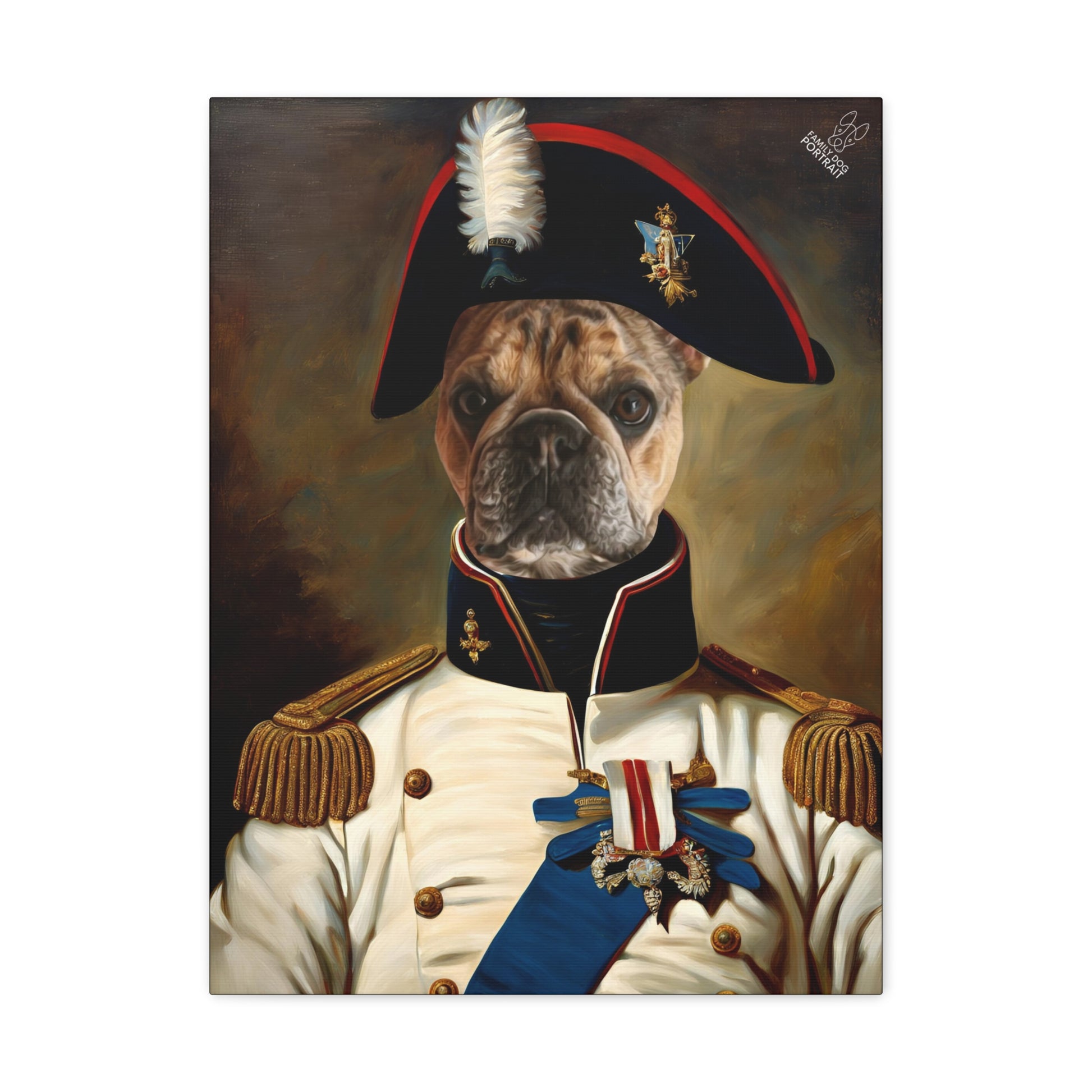 Dog in a historical military uniform with a decorative hat on a brown background