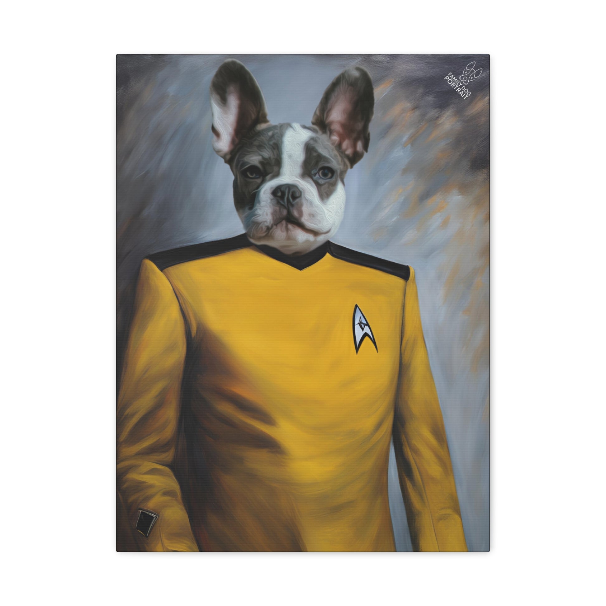 Dog wearing a Star Trek uniform with a yellow shirt and black shoulders on a gray background
