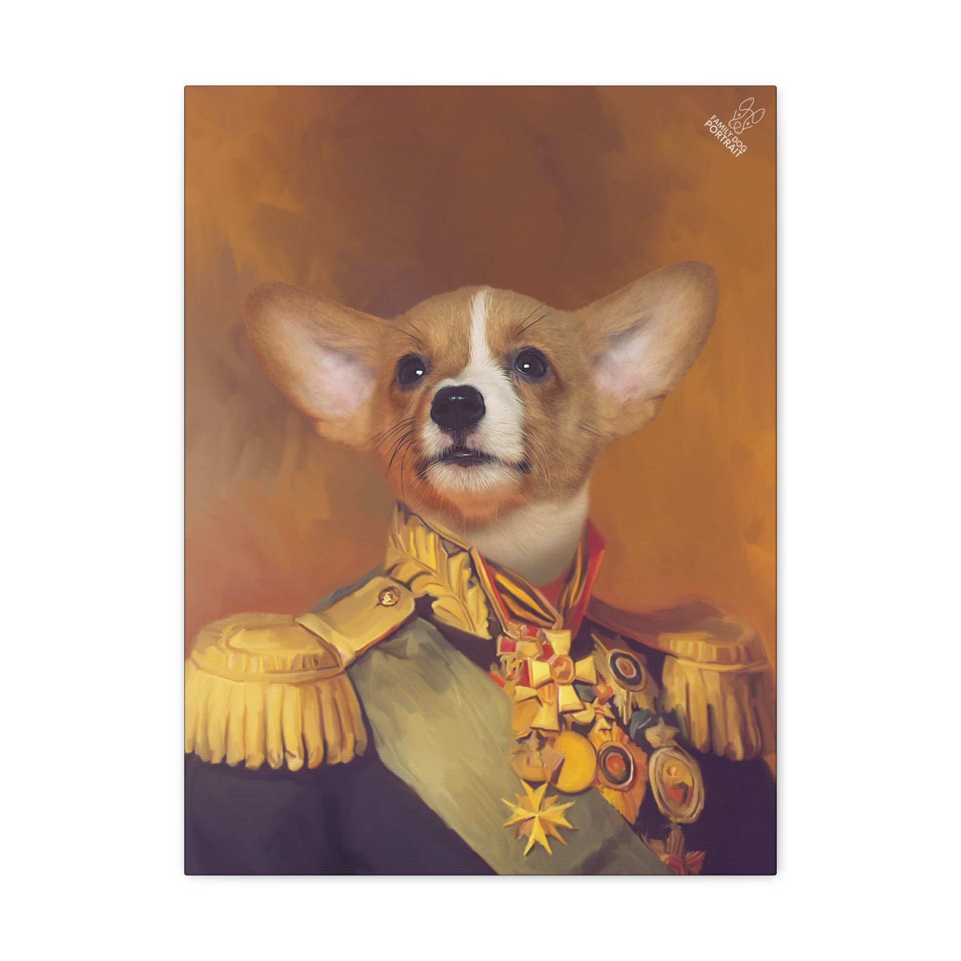 Dog in a formal coat with medals on a warm brown background