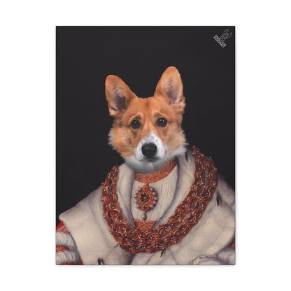 Dog wearing a decorative outfit with jewelry on a black background