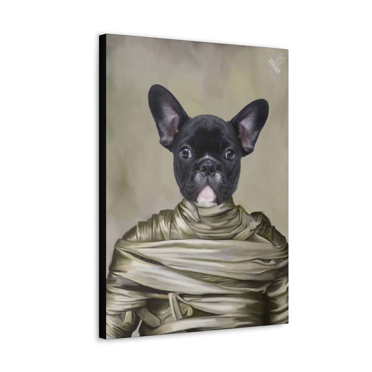 Canvas print of a dog wrapped in bandages on a beige background