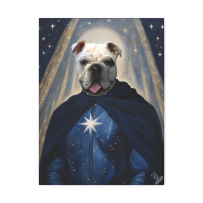 Dog wearing a blue cape with a star design against a starry background