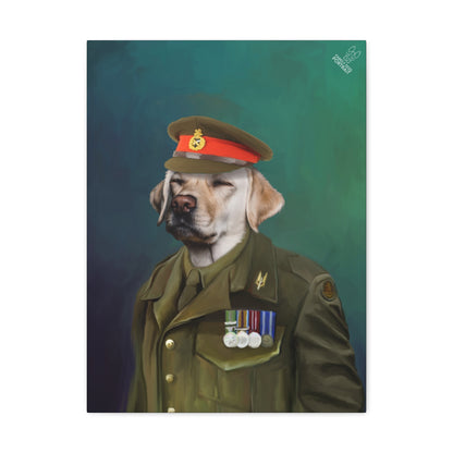Dog in military uniform with medals on a dark green background