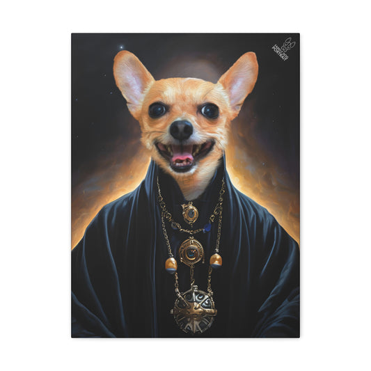 Dog with a black robe and necklace on a dark background