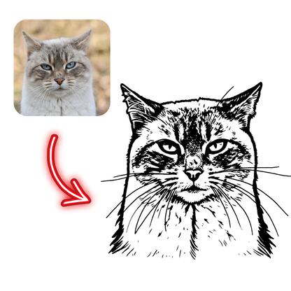 Realistic cat photo on the left with a black and white line drawing of a cat on the right, separated by a red arrow.