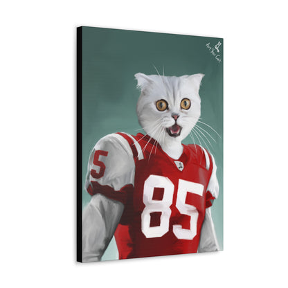 Football Themed Cat Artwork