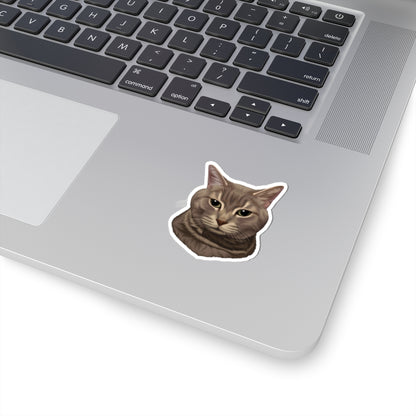 "High-Quality Cat Kiss Cut Stickers"