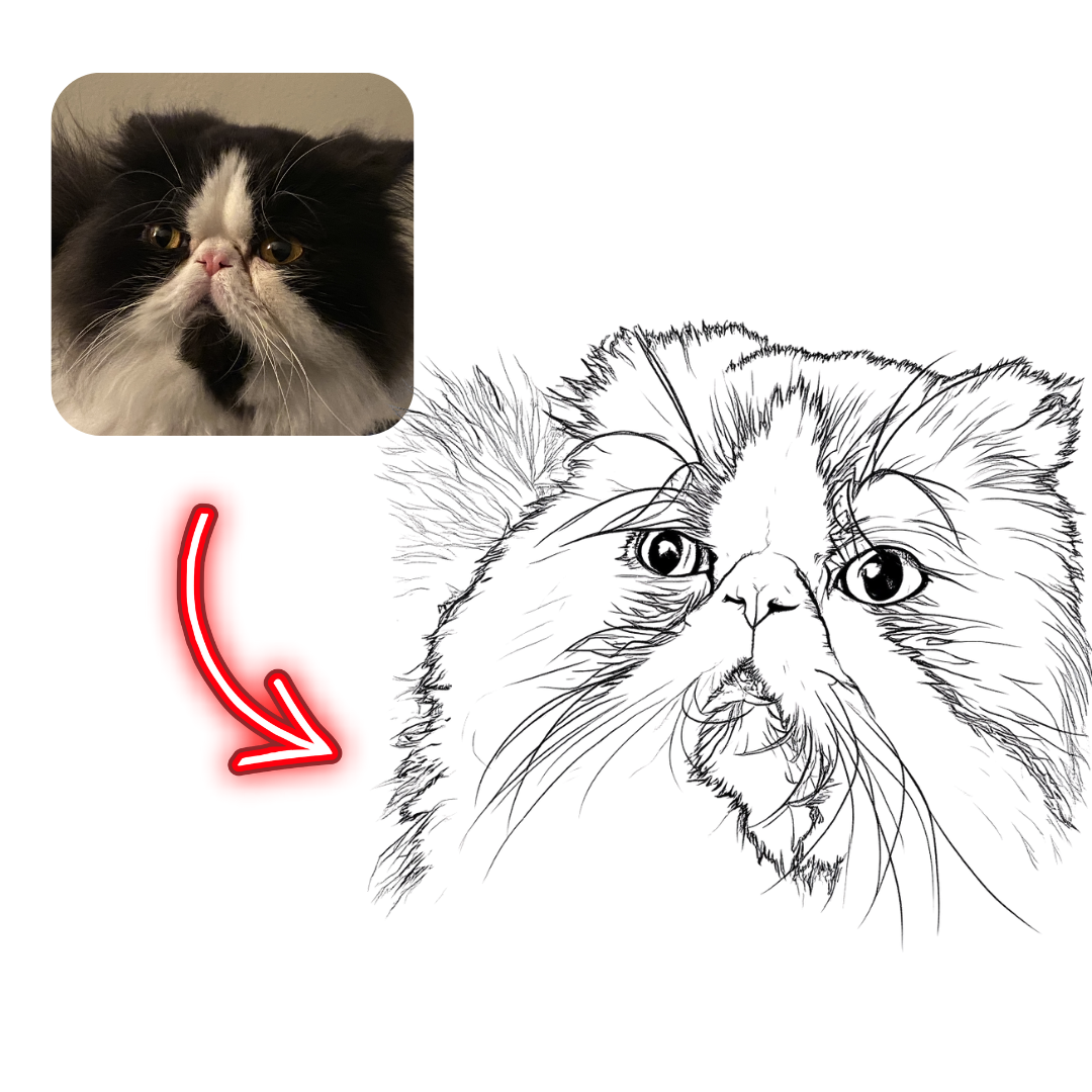 Black and white cat with a line drawing of the same cat, inset on the left.