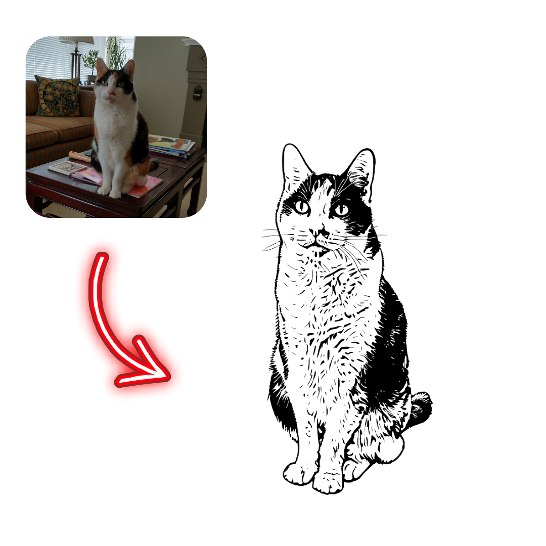 Real cat on a table with a black and white illustration of a cat on a white background.