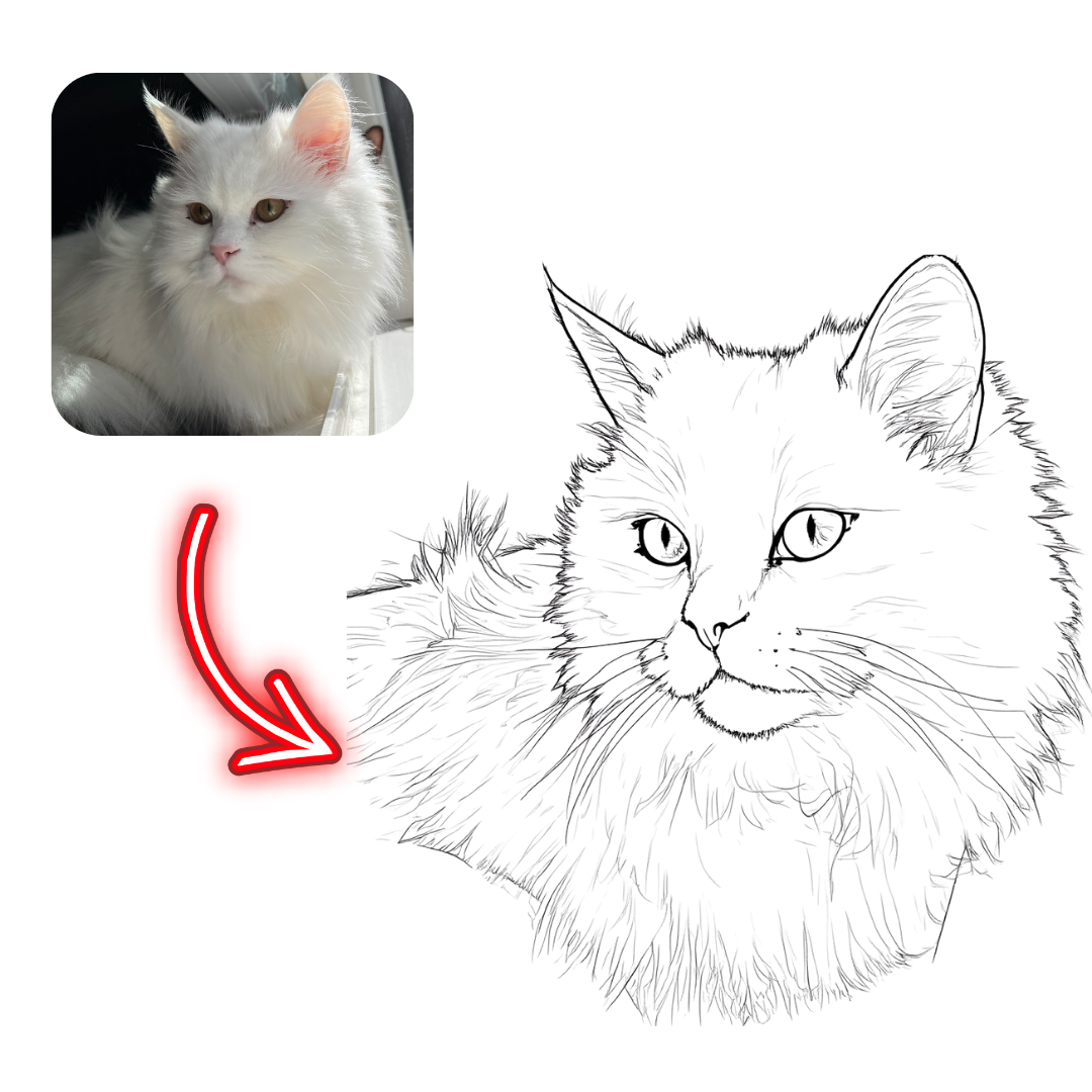 White cat with a line drawing of itself, inset image of the cat.