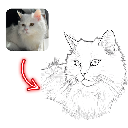 White cat with a line drawing of itself, inset image of the cat.