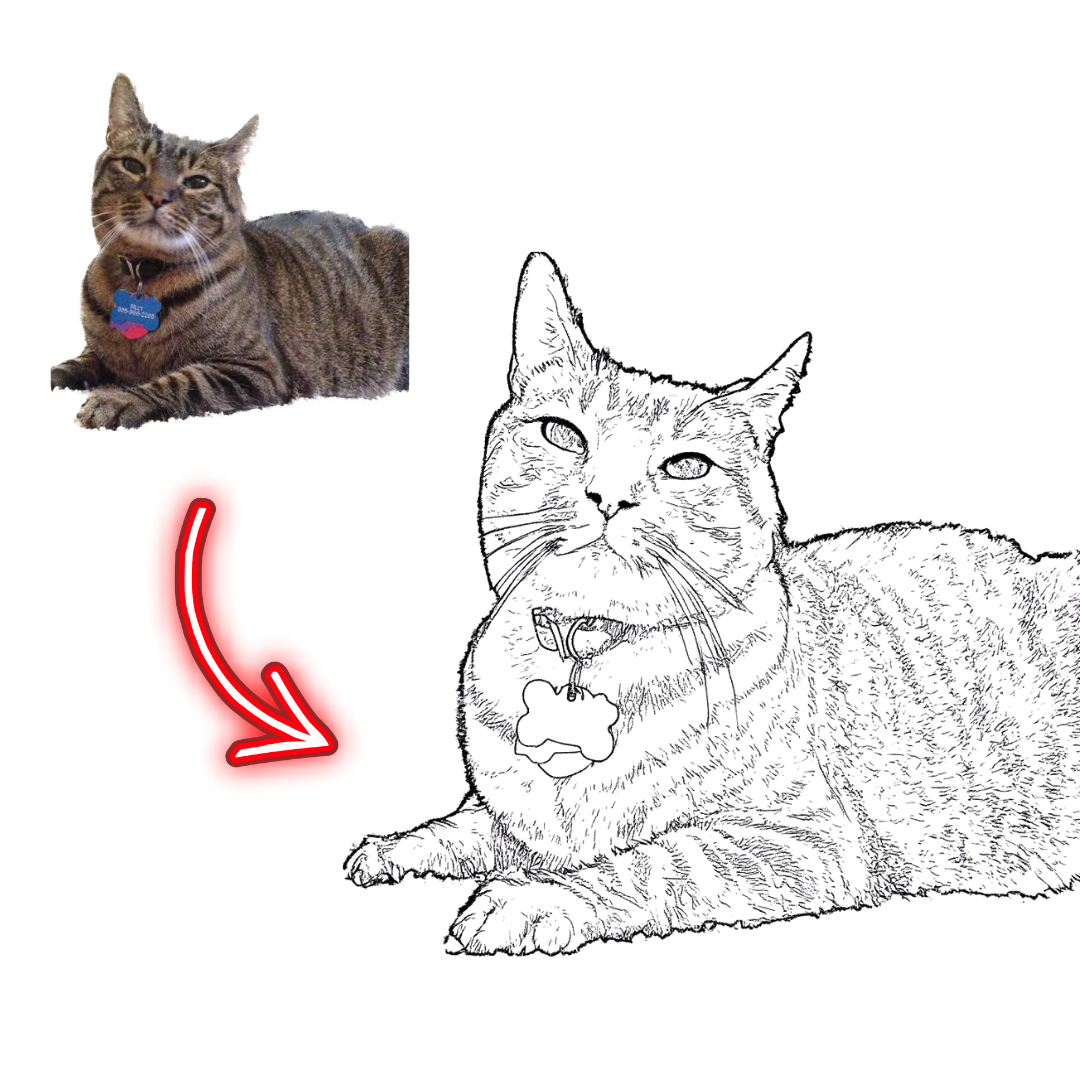 Realistic cat illustration with a red arrow pointing to a cartoonish version of itself.