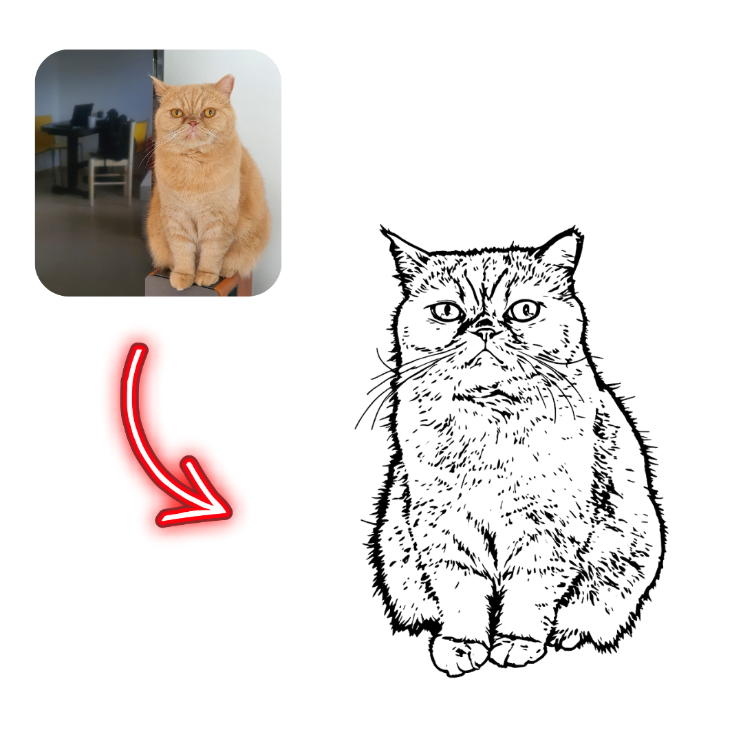 Realistic cat photo on the left with a black and white line drawing of a cat on the right, connected by a red arrow.