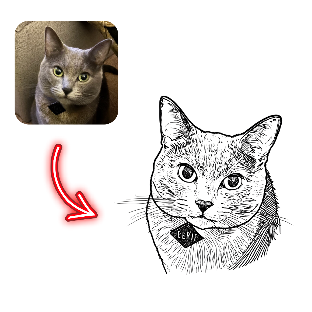 Realistic cat photo on the left with a black and white line drawing of a cat on the right, connected by a red arrow.
